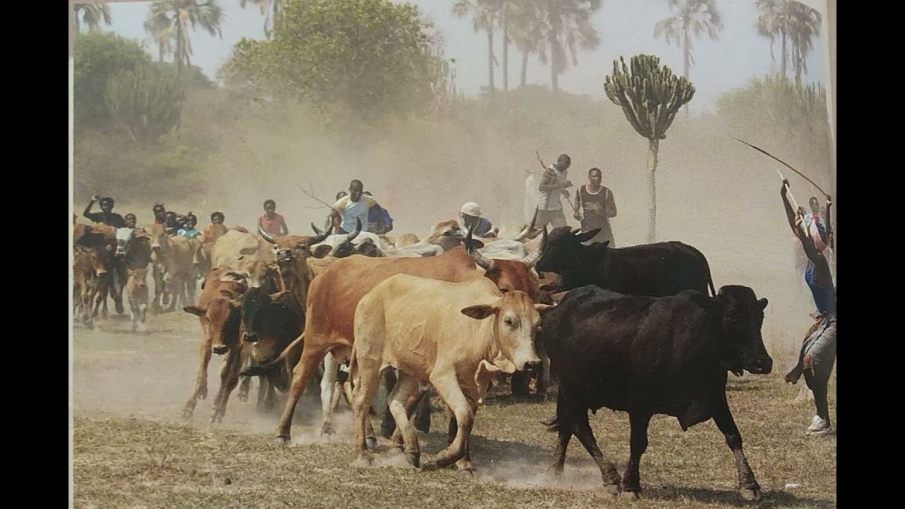 Hakainde Ngali Matongo Okwenu, Tonga music