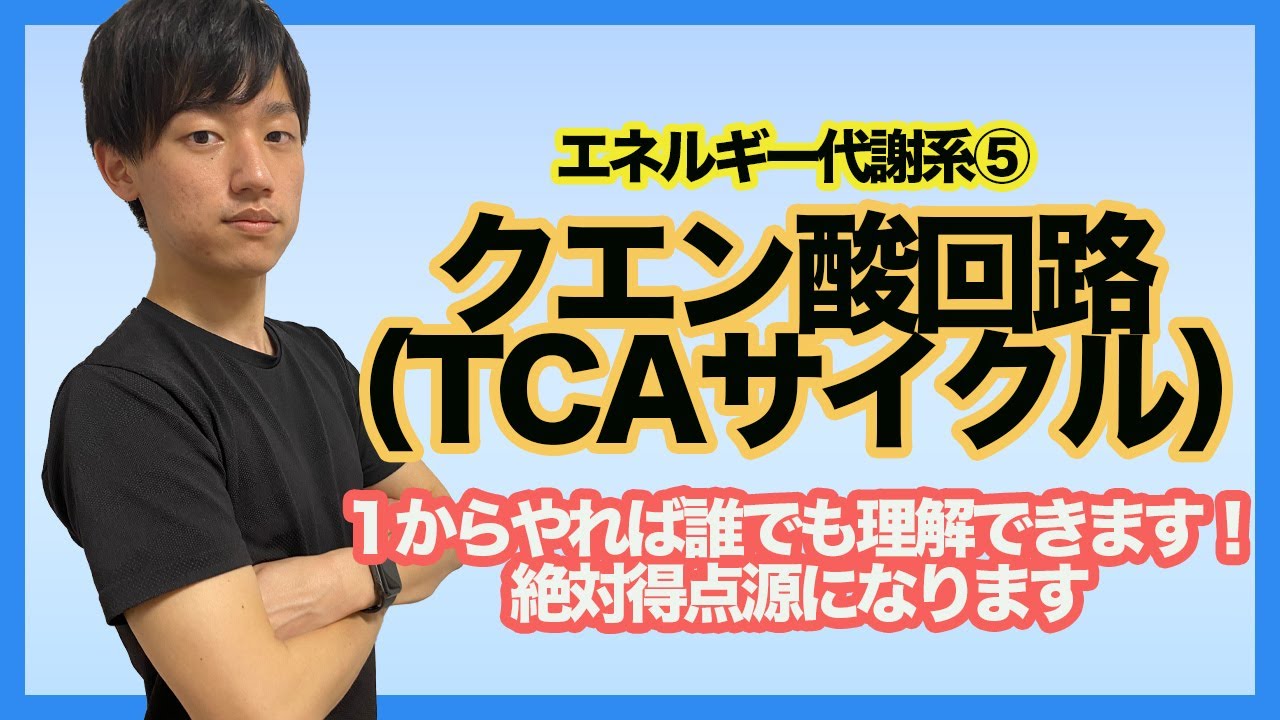 【エネルギー代謝系⑤クエン酸回路（TCAサイクル）】薬学生は理解すべきクエン酸回路の基礎、ポイントをわかりやく簡単に解説！