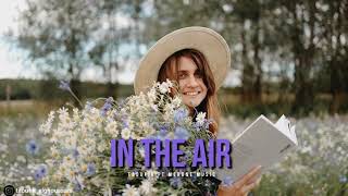 Taoufik  Ft  Merone Music -  In The Air Resimi