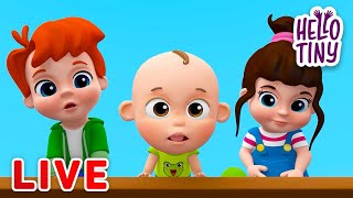 [🔴LIVE ] Baby Shark and more! | Hello Tiny Best Kids Songs and Nursery Rhymes for kids