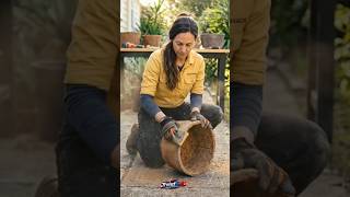 🌿 Rustic-Style Luxury Planter DIY 😍 | Garden Makeover Magic ✨ #viralshorts