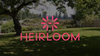 Weve Always Been Heirloom, but Now Were More than Just Roses.