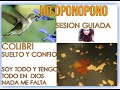 HO OPONOPONO COLIBRI+SUELTO Y CONFIO ALE CARRILLO