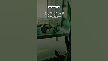 أرح مسمعك 🎧 وقلبك ❤️ القارئ:- #محمد_هشام #قرآني_حياتي_كلها
