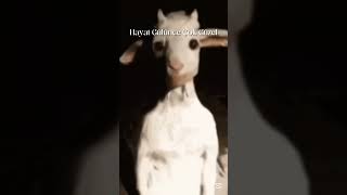 Hayat Gülünce Çok Güzel🥰