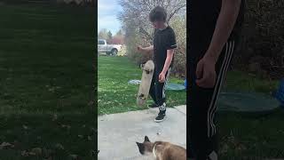 Fat kid on skateboard(fail)#skateboarding #skate #skateboard #fat #idoit #skateboardfail