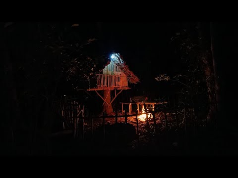 MEMBANGUN TEMPAT PERLINDUNGAN YANG LENGKAP DI HUTAN ,DI DATANGI HEWAN BUAS