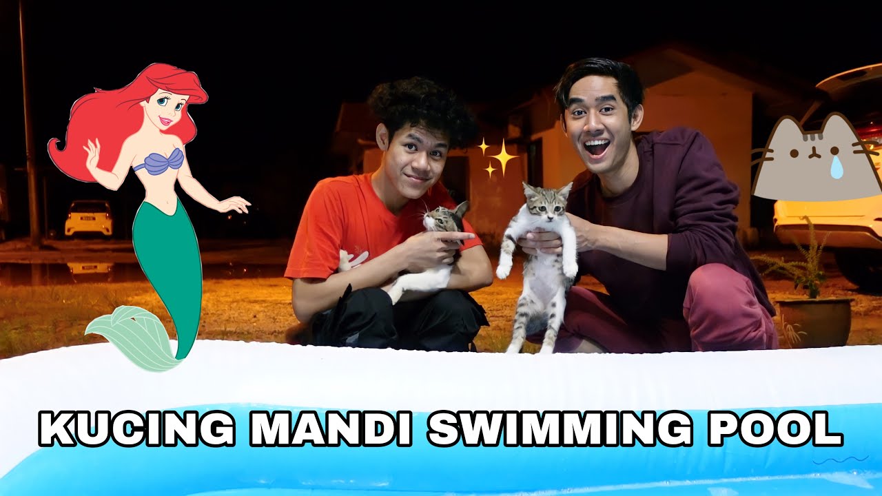 KUCING MANDI SWIMMING POOL 😂