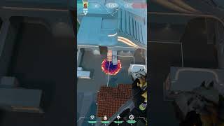 Brimstone Molly Lineup For B Post Plant On Pearl