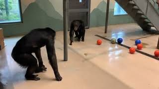 Play & Politics: Outtakes