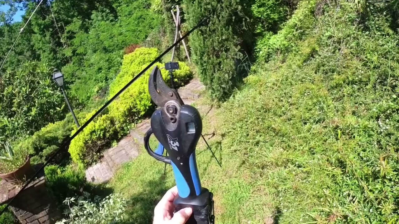 Potatura olivo, uso solo questa forbice 😱