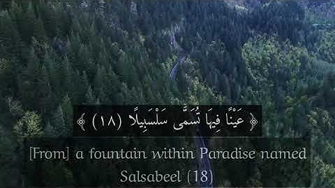 سورة الإنسان مكتوبة ومترجمة - سالم الرويلي - تلاوة هادئة