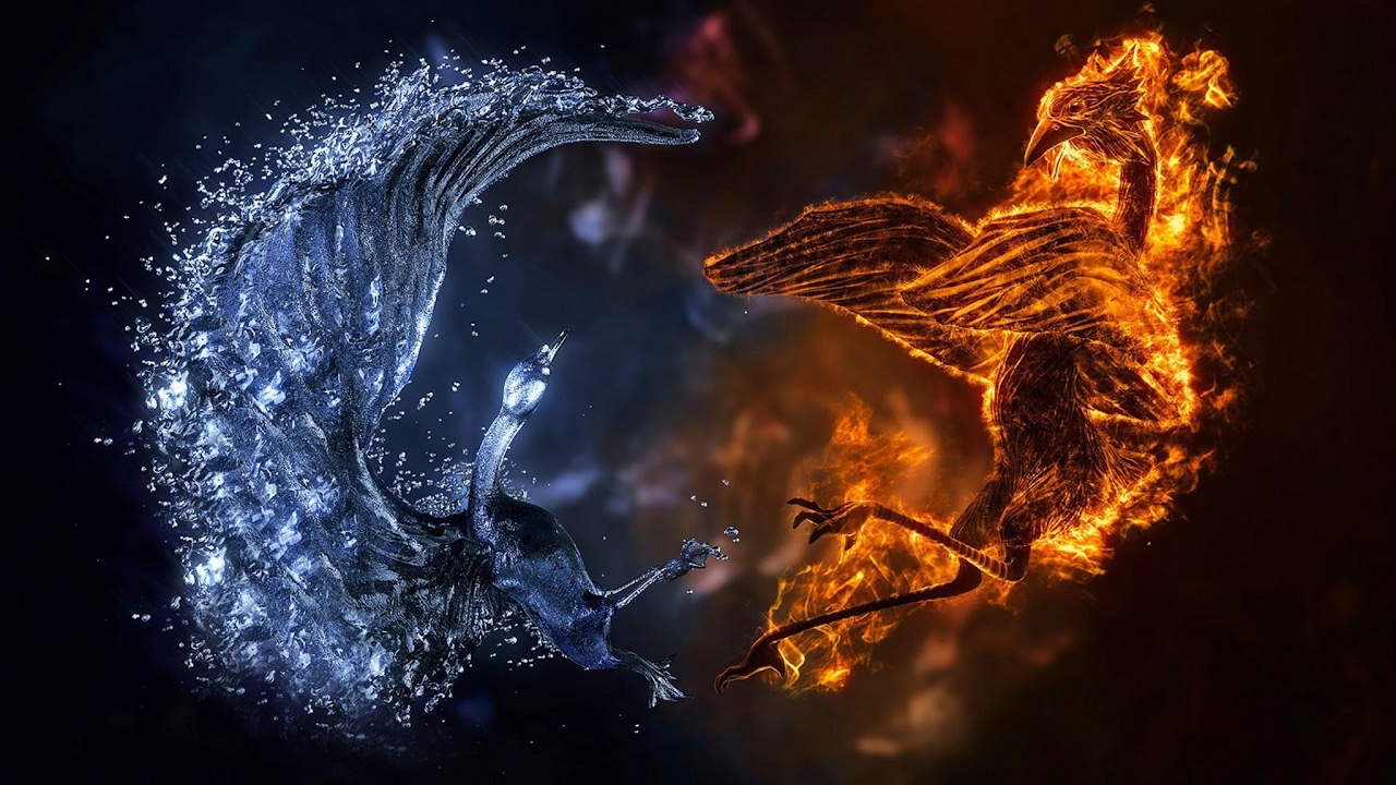 Fire and water wolf Live Stream YouTube