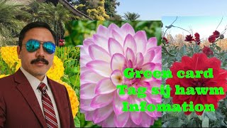 Niam tij Ly Tub tham txog npav ntsuab Green Cards 6/3/26 - My Auntie talks about Green Cards