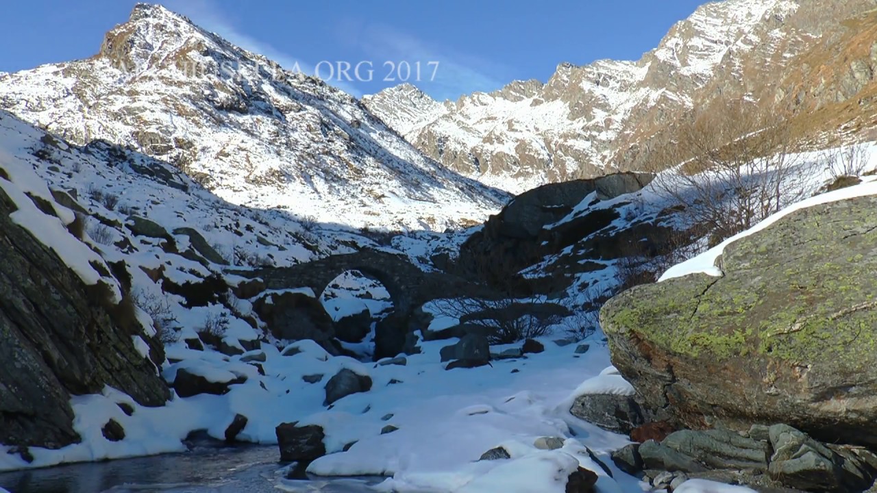 VALCHIUSELLA ORG 2017