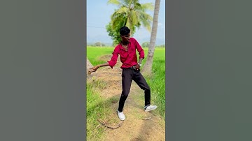 Pushpa 2 chaistep 😍 #chaistep