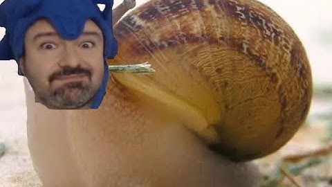 DSP and the Curse of the Slow Stream Chat