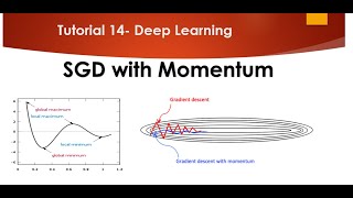 Tutorial 14- Stochastic Gradient Descent with Momentum