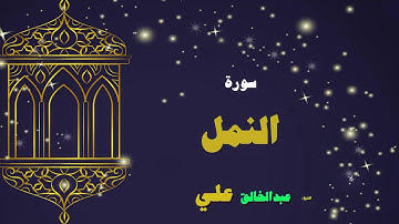 القران الكريم بصوت الشيخ عبد الخالق على | سورة النمل