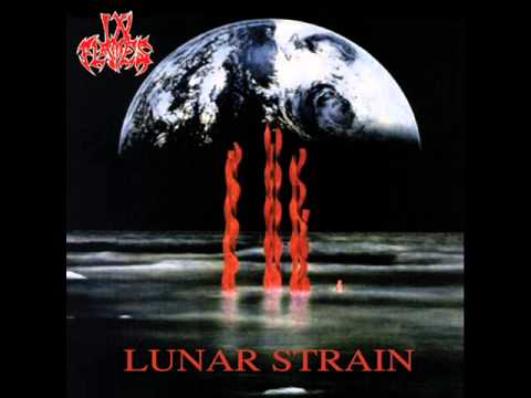In Flames Everlost Part 1 (Lyrics)