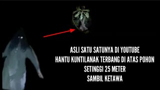 🔴 Penampakan Kuntilanak Asli Terbang Sambil Tertawa Cekikikan Di Atas Pohon Akasia