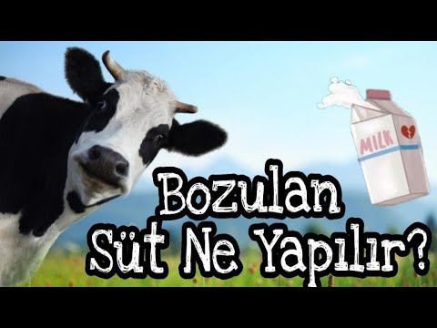 Bozulan Sütle Ne Yapılır? / Süper Anne