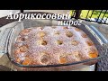 Абрикосовый пирог нежный ПРОСТОЙ РЕЦЕПТ/ Пирог с абрикосами/ Готовлю с любовью