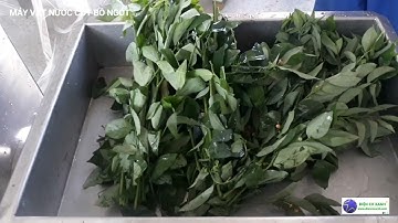 Máy vắt nước cốt lá bồ ngót, vắt nước cốt cỏ lúa mì, vắt nước cốt củ gừng - ĐIỆN CƠ XANH 0984467870