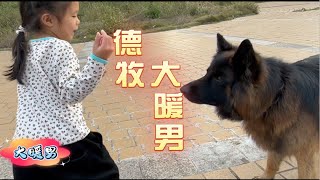 【德国牧羊犬】对动物很凶对人很亲对小破孩很暖这就是德牧