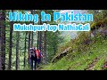 Pakistan.Hiking at Mukshpuri Top Nathia Gali