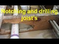 Notching and drilling joist/everything trainee plumbers gas engineer electricians and DIY must know.