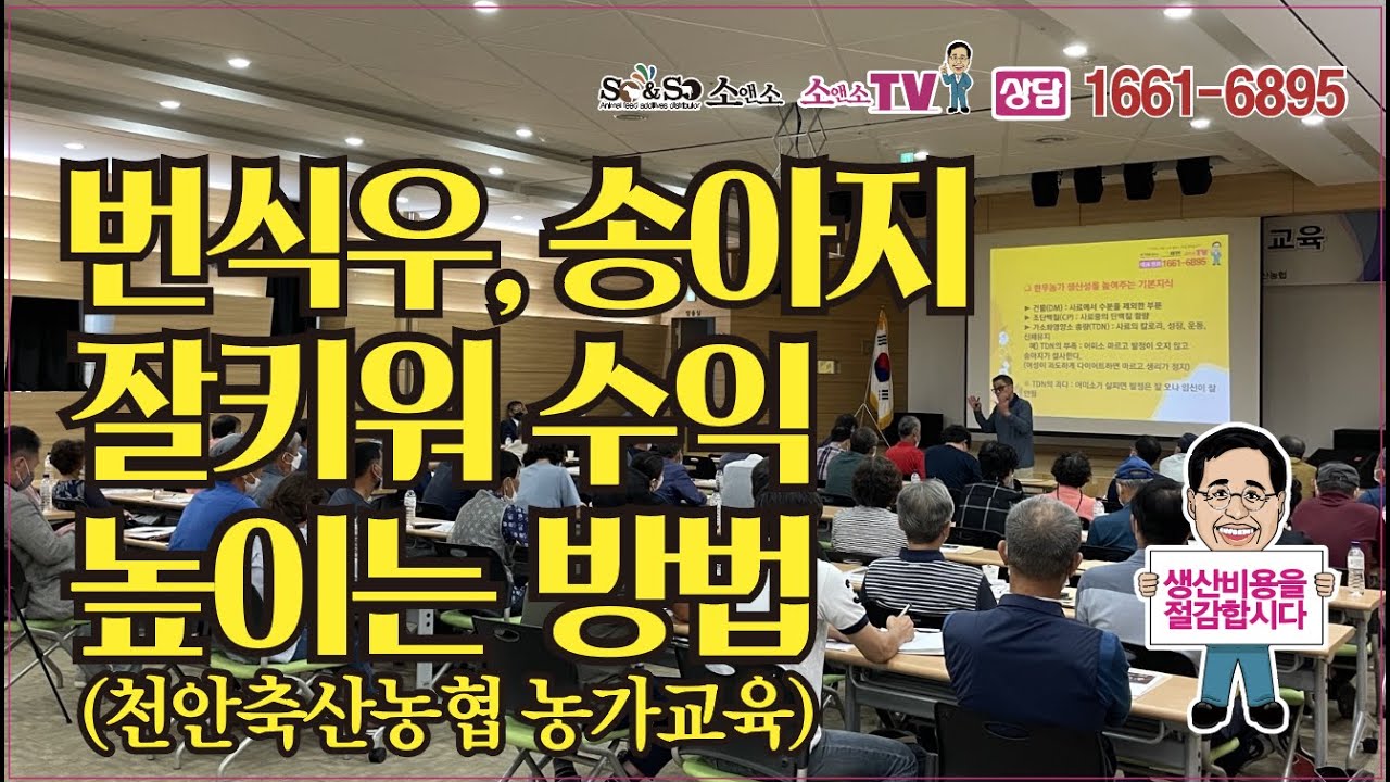 [소앤소TV-김재경원장, 상담 1661-6895] 한우농가 번식우,송아지 잘키워 수익 높이는 방법 (충남 천안축산농협 농가교육)