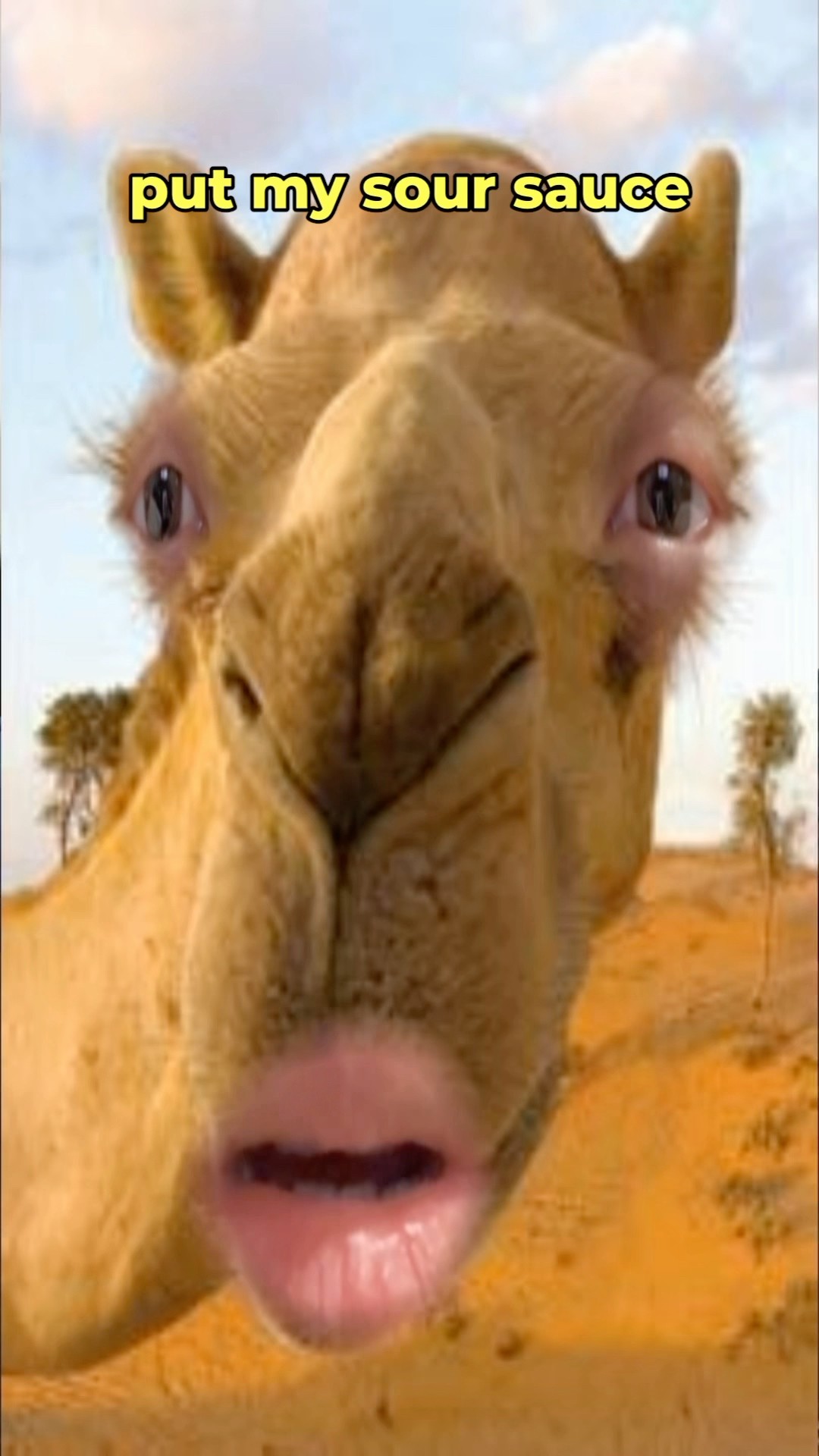 Mmm I love sour sauce? #comedy #funny #animal #animals