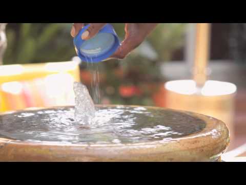 How to Keep Garden Fountain Water Clean : Landscaping Tips
