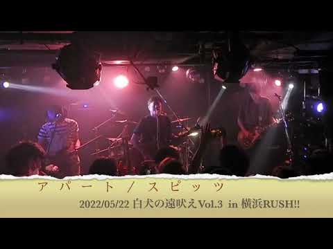 2022/05/22　アパート / スピッツ　byサモエド旅に出る　with ニセテツヤ