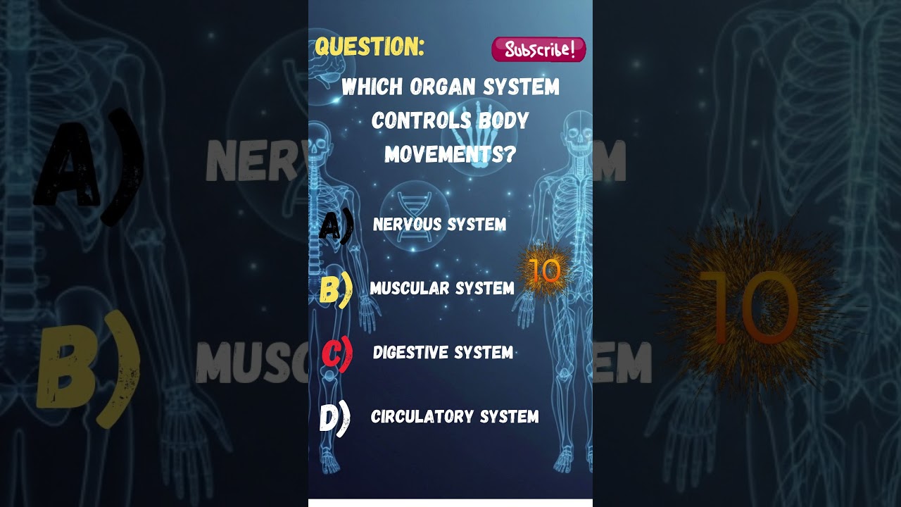 Which Organ System Controls Body Movement? 💪🧠 
