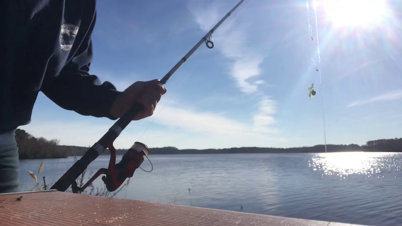Catching white perch here in Virginia Beach. YouTube