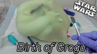 Birth of Baby Yoda in the womb Grogu how baby Yoda's are born