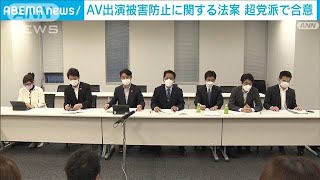 「AV出演強要」被害防止に関する法案を超党派で合意(2022年5月13日)