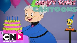 Il compleanno di Titti | Looney Tunes Cartoons | Cartoon Network Italia