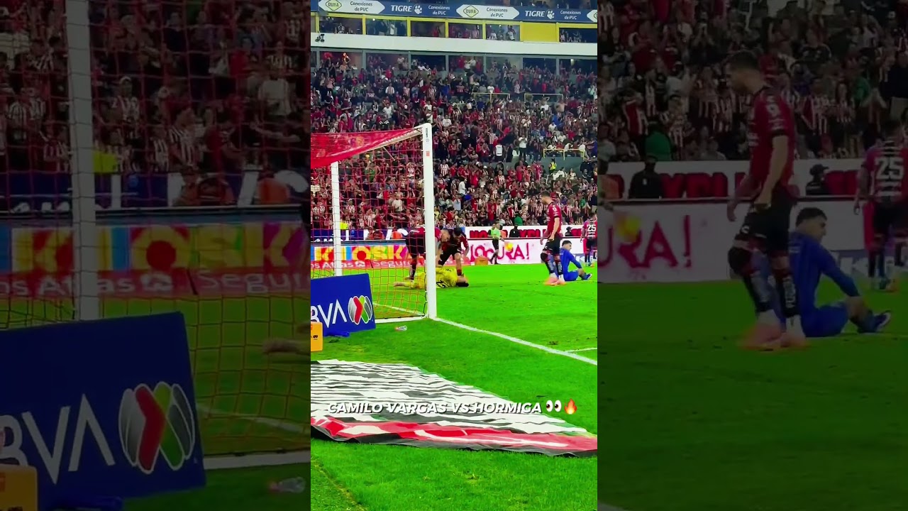 ¡Un día inolvidable para la HORMIGA! 🤦‍♂️❌ #shorts