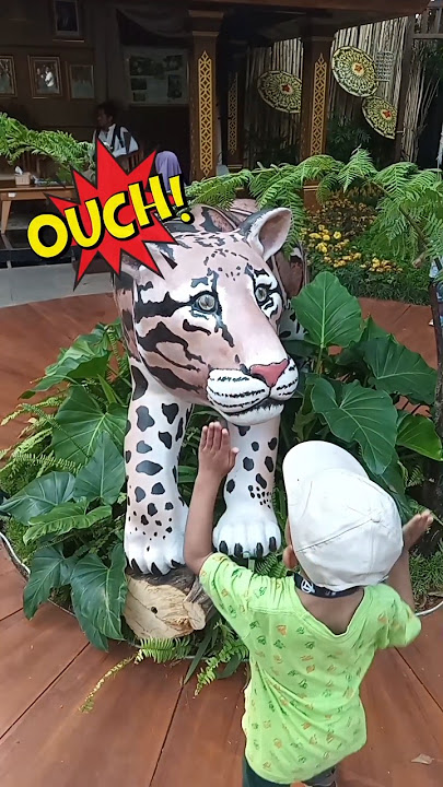 UDAH BERANI SAMA HARIMAU