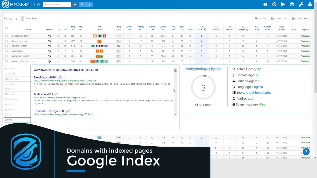 How to find expired domains still indexed in Google - YouTube