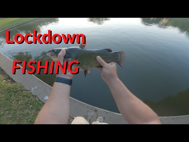 Catching Bullhead Catfish  Little Pond Lockdown Fishing 