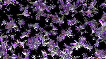 Projeksiyon Mapping Kibrit Creative Solutions