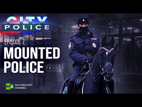Mounted Police | City Police Episode 7