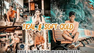 Lightroom Mobile Free Dng Presets|Teal & Soft Gold Lightroom presets Free Download 2020 screenshot 5