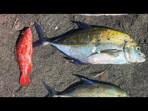 Pêche dans l’est 🇷🇪🎣