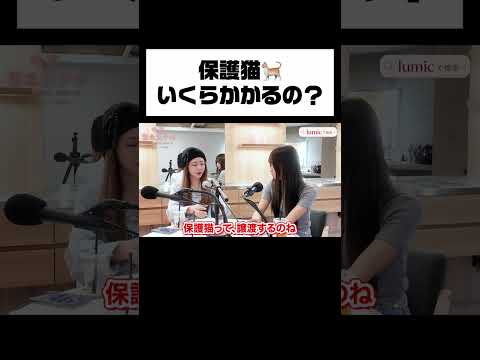 保護猫🐈いくらかかるの？ #今夜緊急女子会 #緊女 #二瓶有加 #森脇梨々夏 #みりちゃむ #lumic #shorts