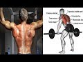 Back Workout For Men | Lower Back Workout | Back Exercises With Dumbbells